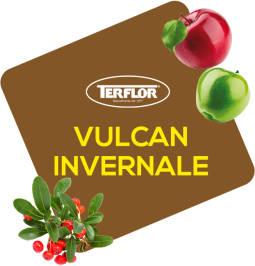 Vulcan  Invernale