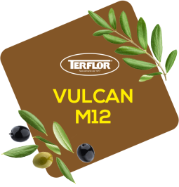Vulcan  M12