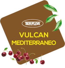 Vulcan  Mediterraneo